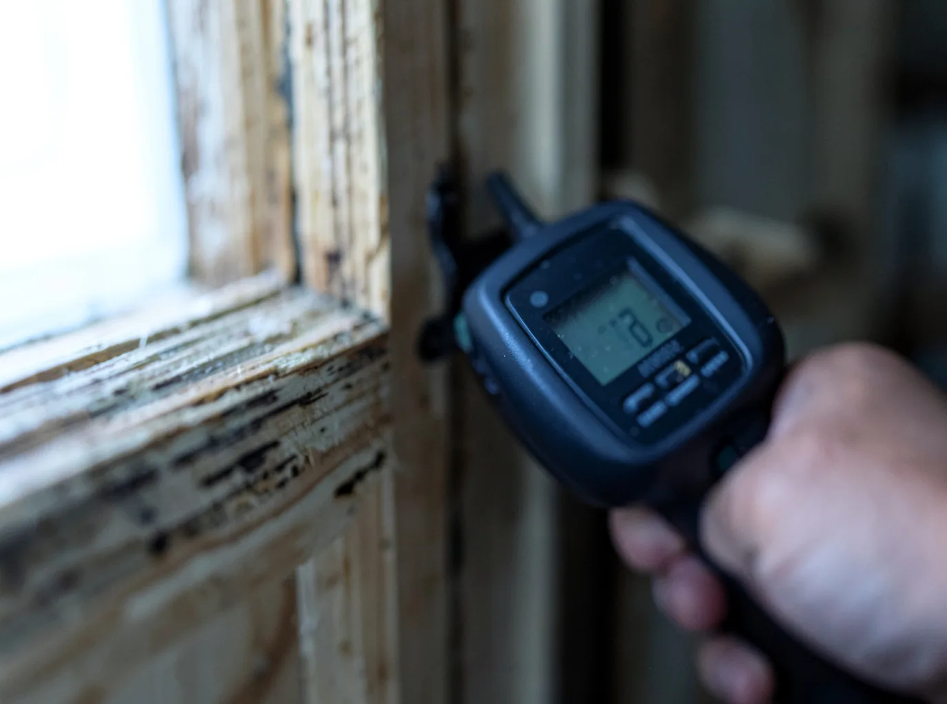 Commercial Water Damage Restoration in Hillsboro, AL